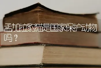 孟加拉豹猫是国家保护动物吗？