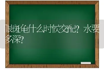 眼斑龟什么时候交配？水要多深？