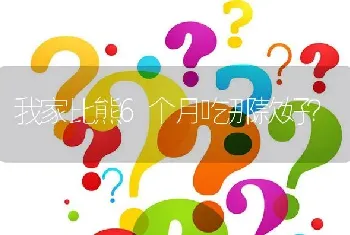 我家比熊6个月吃那款好？