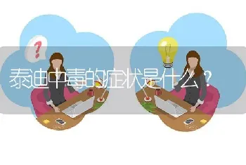 泰迪中毒的症状是什么？