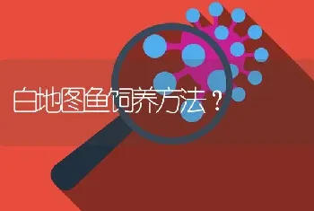 白地图鱼饲养方法？