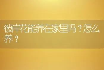 彼岸花能养在家里吗？怎么养？