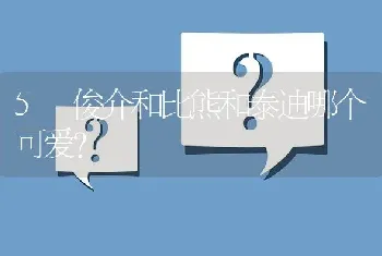 5 俊介和比熊和泰迪哪个可爱？