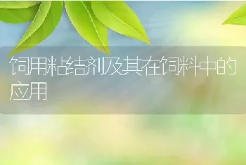 南美白对虾12大疾病防治