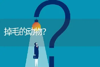 以拉开头的拉布拉多犬名字？