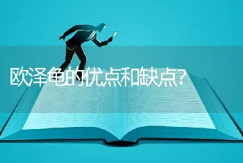 欧泽龟的优点和缺点？