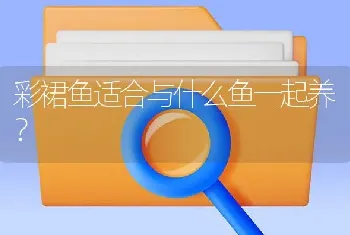 彩裙鱼适合与什么鱼一起养？