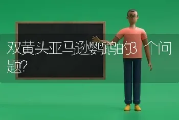 双黄头亚马逊鹦鹉的3个问题？