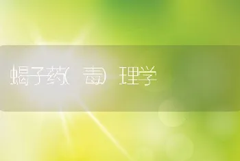 蝎子药(毒)理学