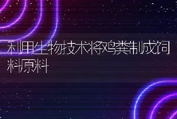 罗氏沼虾养殖的几点误区