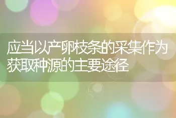 应当以产卵枝条的采集作为获取种源的主要途径