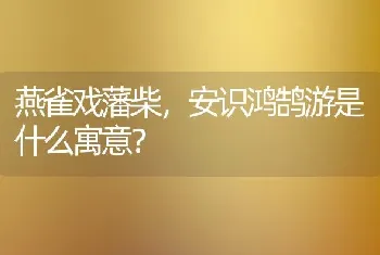 燕雀戏藩柴，安识鸿鹄游是什么寓意？