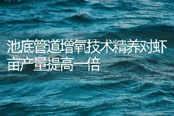 池底管道增氧技术精养对虾亩产量提高一倍