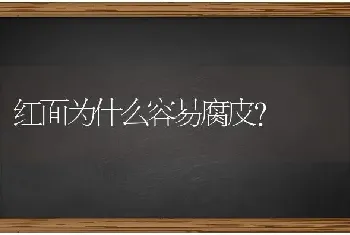 红面为什么容易腐皮？