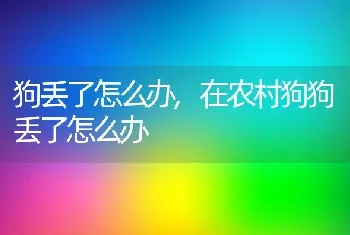 狗丢了怎么办，在农村狗狗丢了怎么办