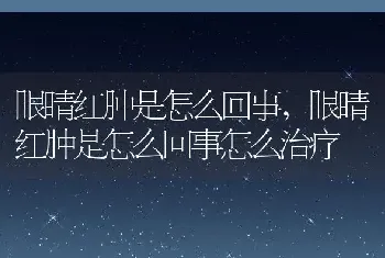 眼睛红肿是怎么回事，眼睛红肿是怎么回事怎么治疗