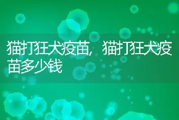 猫打狂犬疫苗，猫打狂犬疫苗多少钱