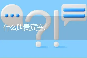 什么叫贵宾室？