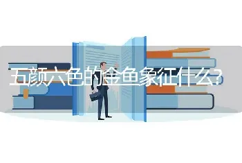 五颜六色的金鱼象征什么？