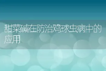 甜菜碱在防治鸡球虫病中的应用