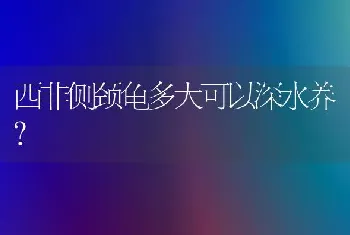 西非侧颈龟多大可以深水养？