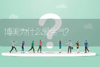 博美为什么爱生气？