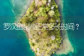 罗汉鱼起沙正常多长时间？