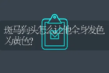 斑马狗头怎么让他全身发色为黄色？