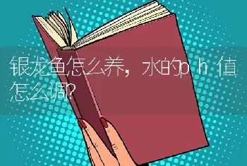 银龙鱼怎么养，水的ph值怎么调？