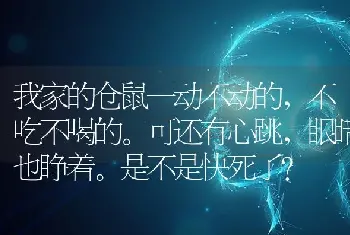 我家的仓鼠一动不动的，不吃不喝的。可还有心跳，眼睛也睁着。是不是快死了？