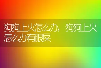 狗狗上火怎么办，狗狗上火怎么办有眼屎