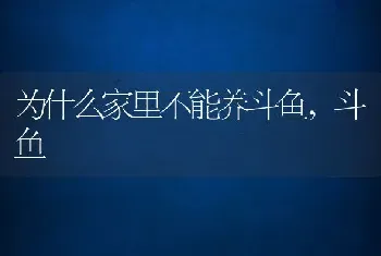 为什么家里不能养斗鱼，斗鱼