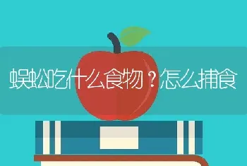 蜈蚣吃什么食物？怎么捕食