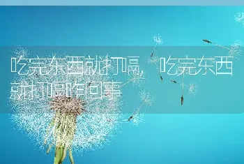 吃完东西就打嗝，吃完东西就打嗝咋回事