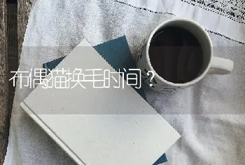 布偶猫换毛时间？