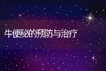 牛便秘的预防与治疗