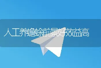 虾病防治新思路