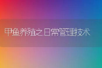 甲鱼养殖之日常管理技术