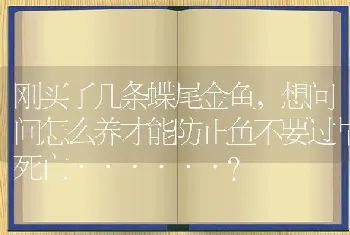 刚买了几条蝶尾金鱼，想问问怎么养才能防止鱼不要过早死亡······？