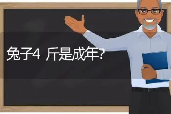 兔子4斤是成年？