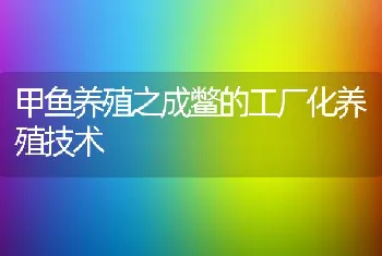 甲鱼养殖之成鳖的工厂化养殖技术