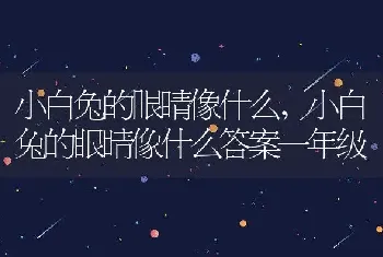 小白兔的眼睛像什么，小白兔的眼睛像什么答案一年级