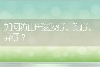 如何防止母鼠咬仔、吃仔、弃仔？