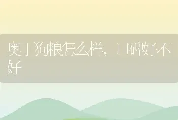 奥丁狗粮怎么样，口碑好不好