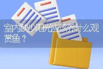 室内缺少阳光应该养什么观赏鱼？