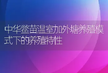 中华鳖苗温室加外塘养殖模式下的养殖特性