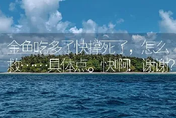 金鱼吃多了快撑死了，怎么救……具体点。快啊!谢谢？