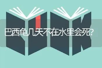 巴西龟几天不在水里会死？