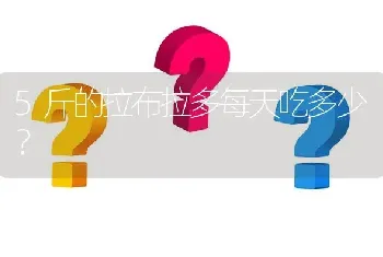 5斤的拉布拉多每天吃多少？