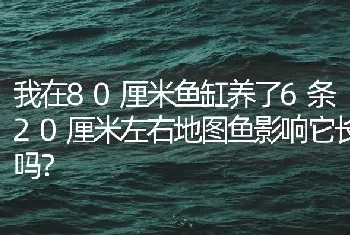 我在80厘米鱼缸养了6条20厘米左右地图鱼影响它长吗？